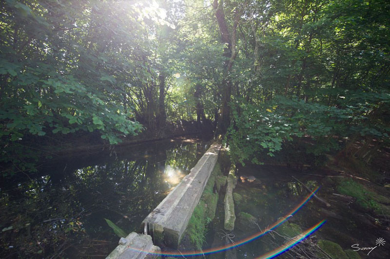 water wheel environment and sustainability